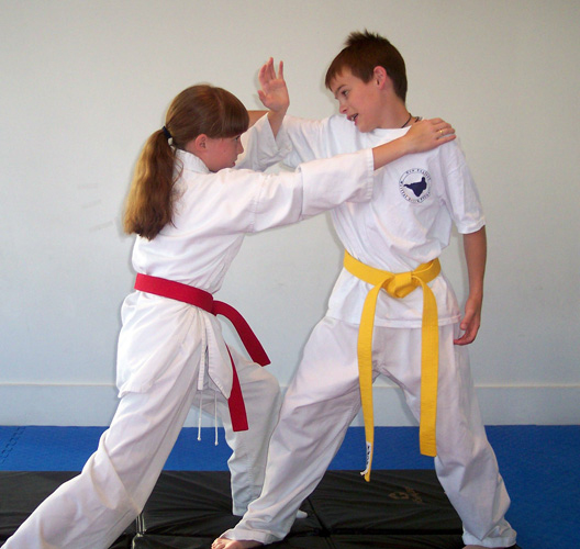 New England Martial Arts Stoughton, MA